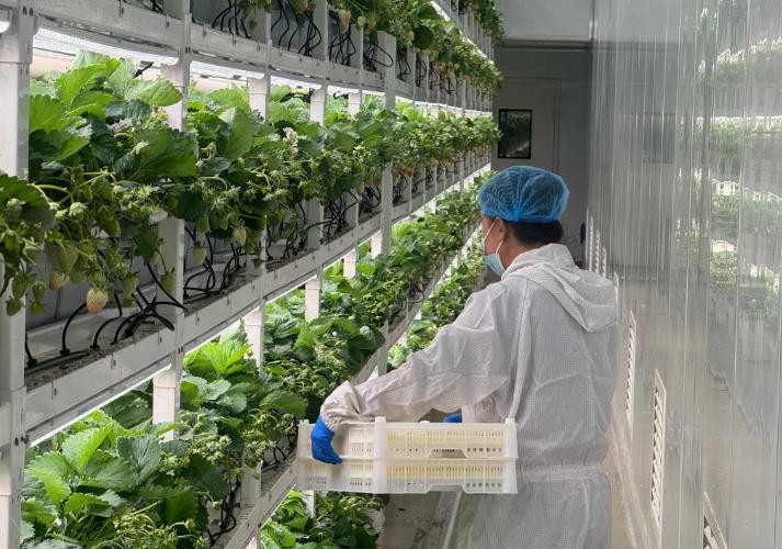 ScreenShot_2025-11-25_085933_773