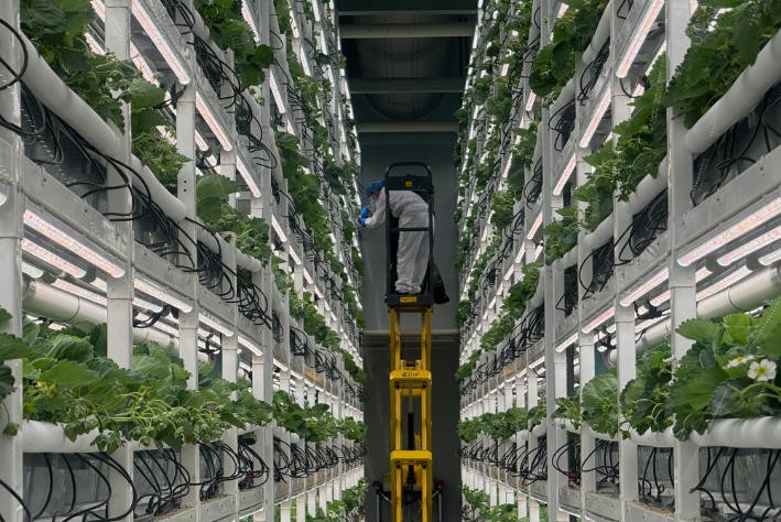 ScreenShot_2025-11-25_085914_358