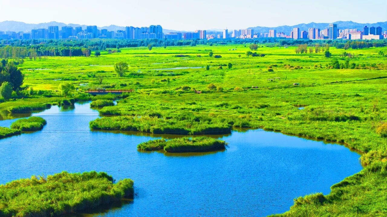 微信图片_2025-10-17_091304_434