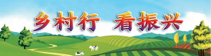 微信截图_20230418084706