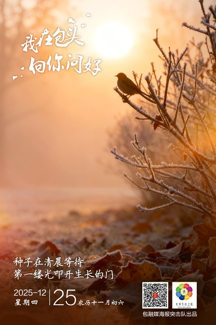 微信图片_20251224204123_373_63