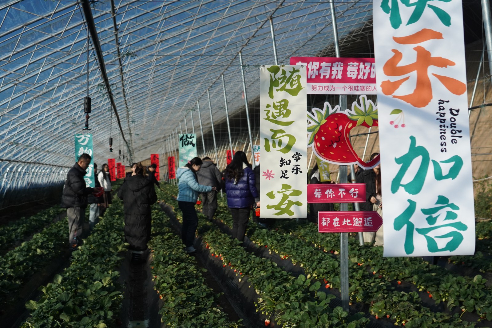 DSC03899(6155575)-20251225214035