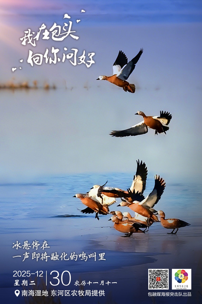 微信图片_20251229234321_136_37