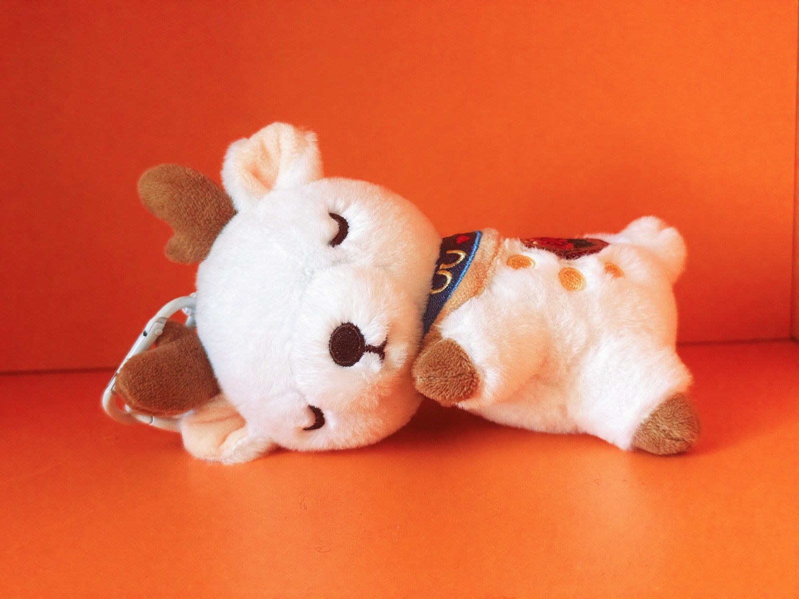 原创背后：00后对包头的毛绒告白(分离图(6157940)-20251229091519