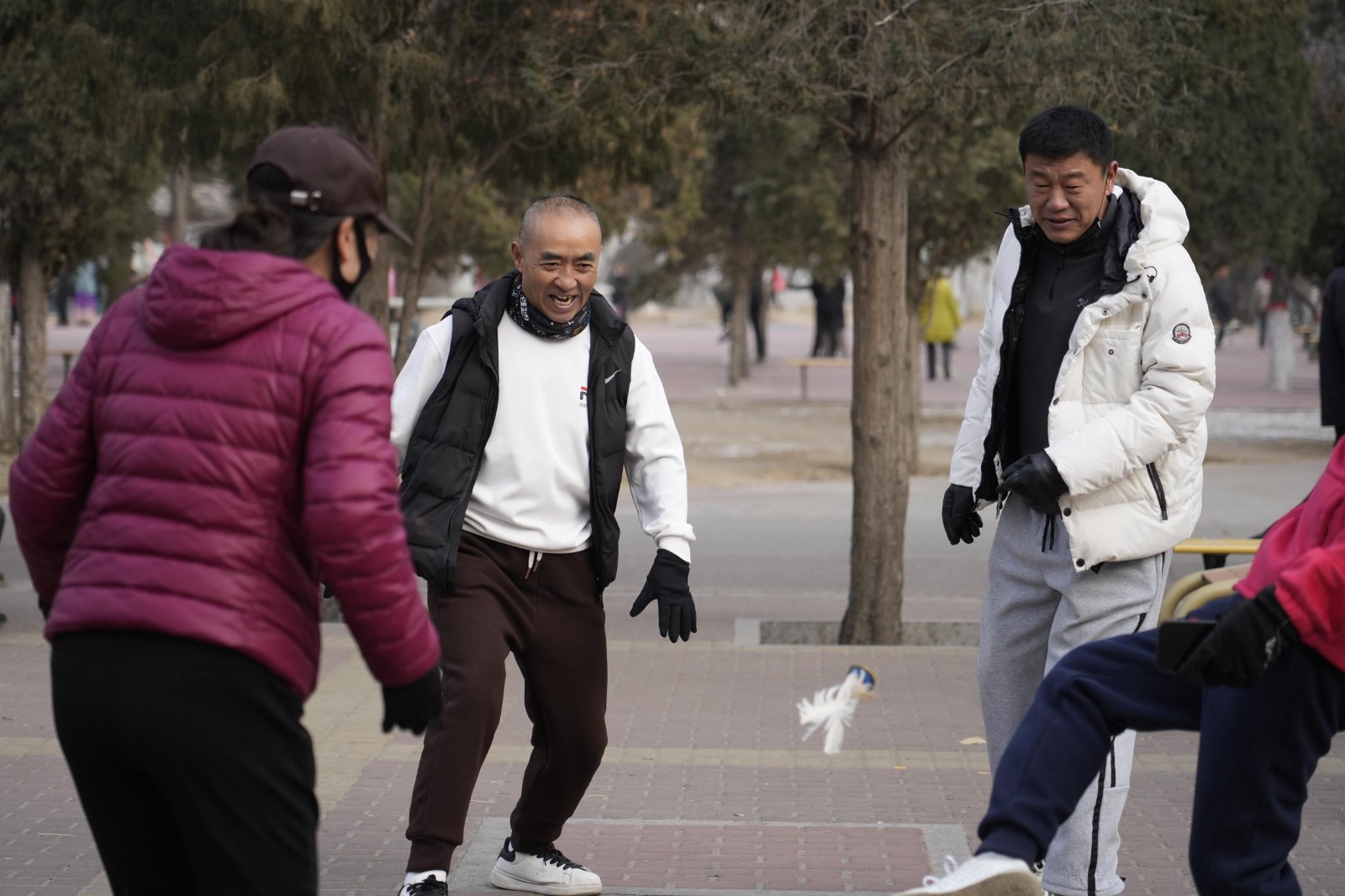 8(6190068)-20251230161908