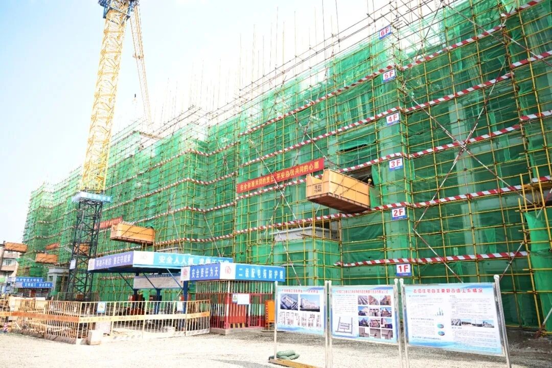 微信图片_2025-12-30_090244_518