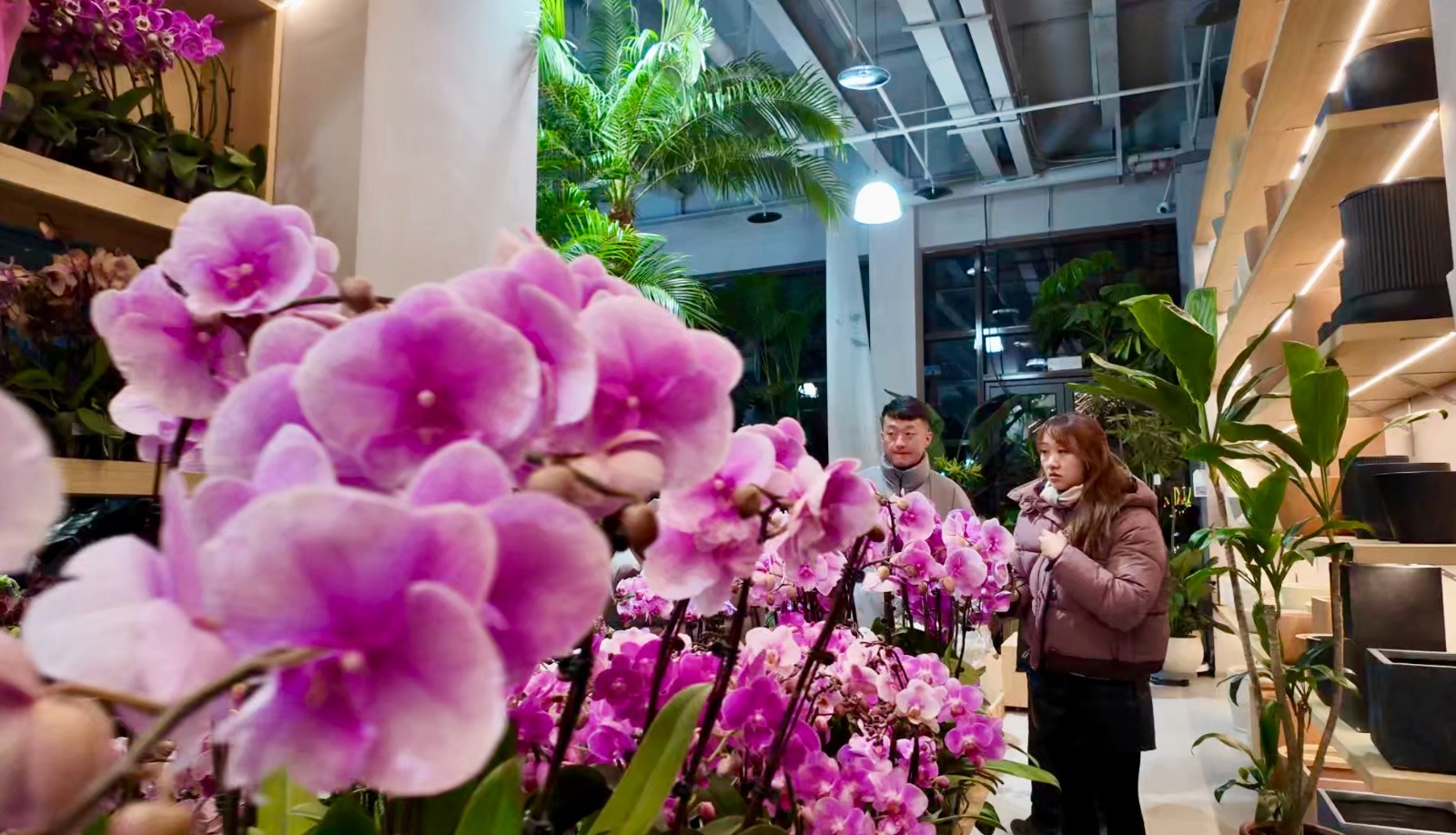 安与雷绿色花艺店的鲜花备受青睐(6213016)-20260104094141