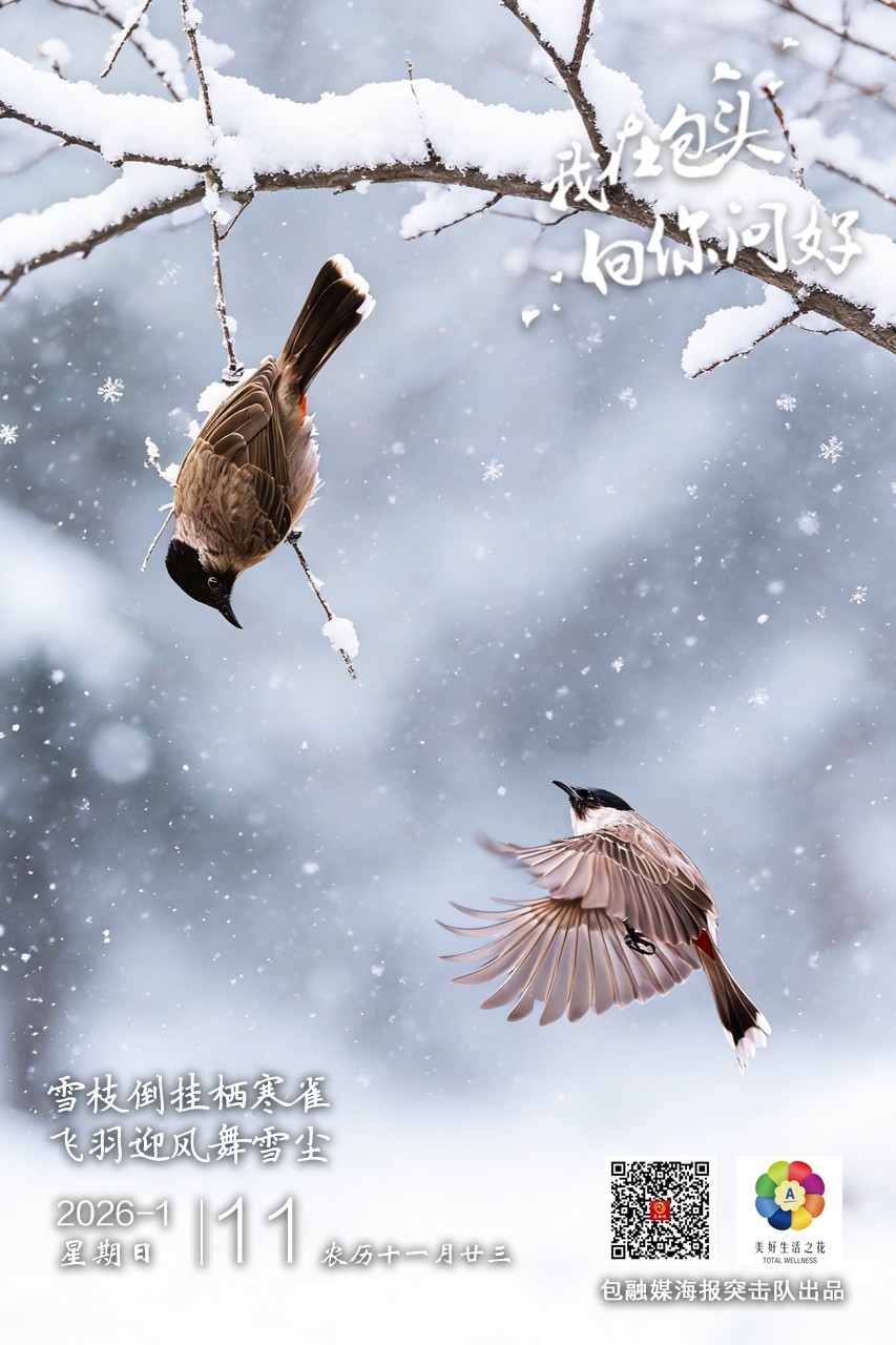 微信图片_20260110105754_1591_193