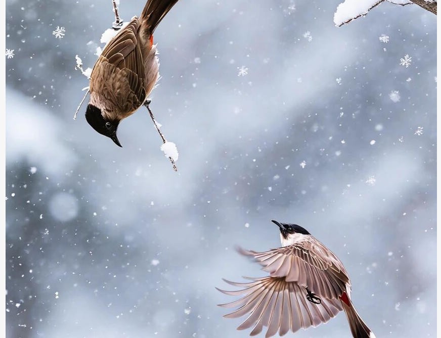 ScreenShot_2026-01-11_105953_683