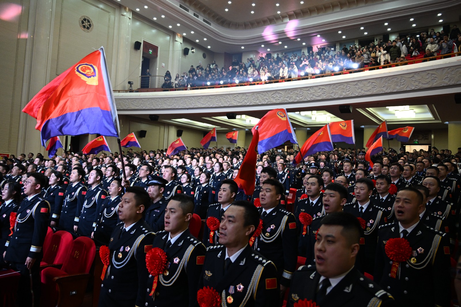 DSC_7740(6255365)-20260111095754