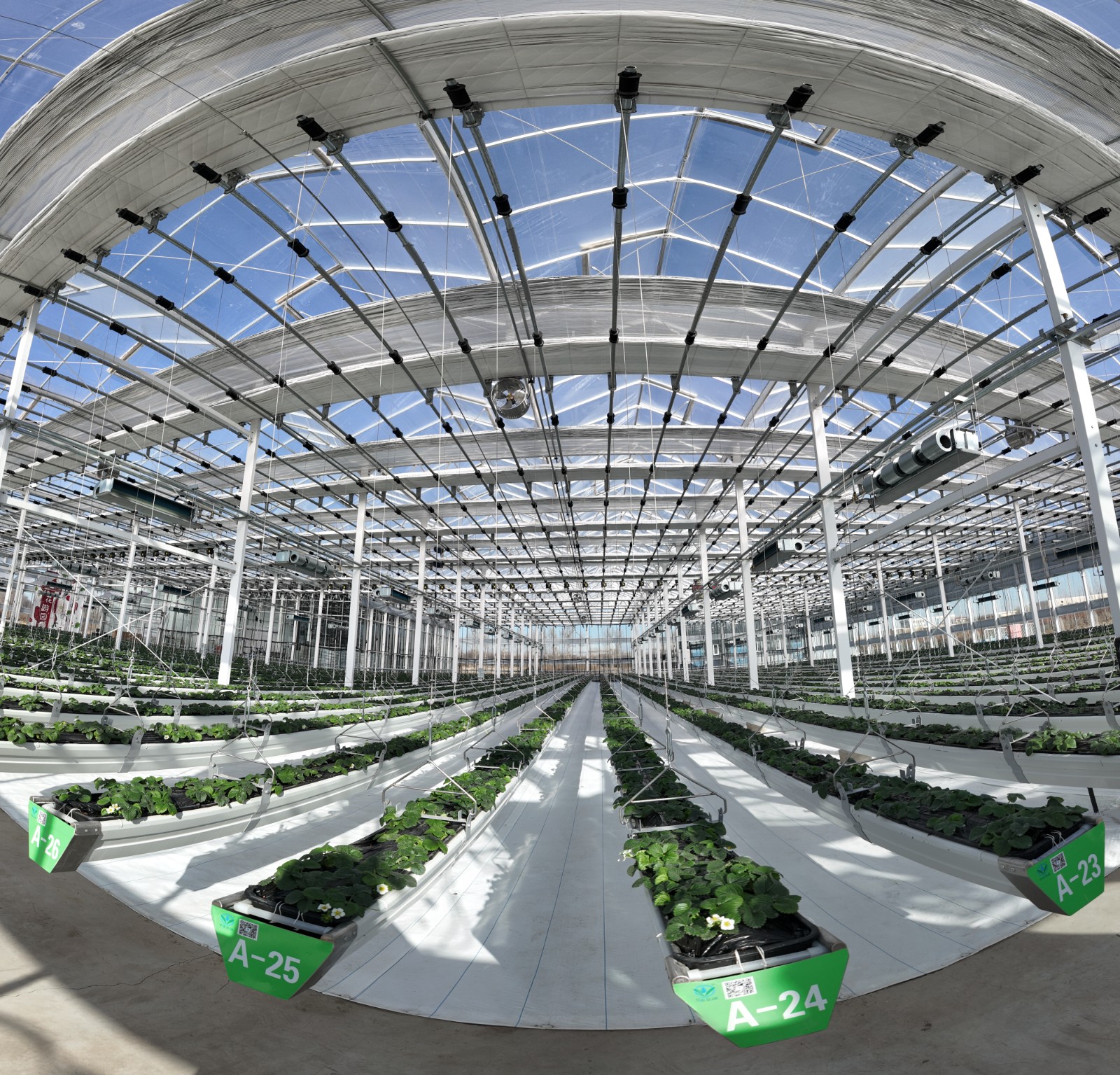 1(6271094)-20260113162735