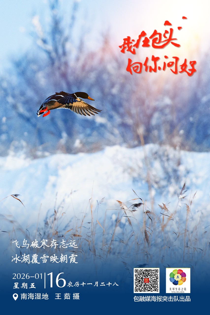 微信图片_20260115201328_101_70