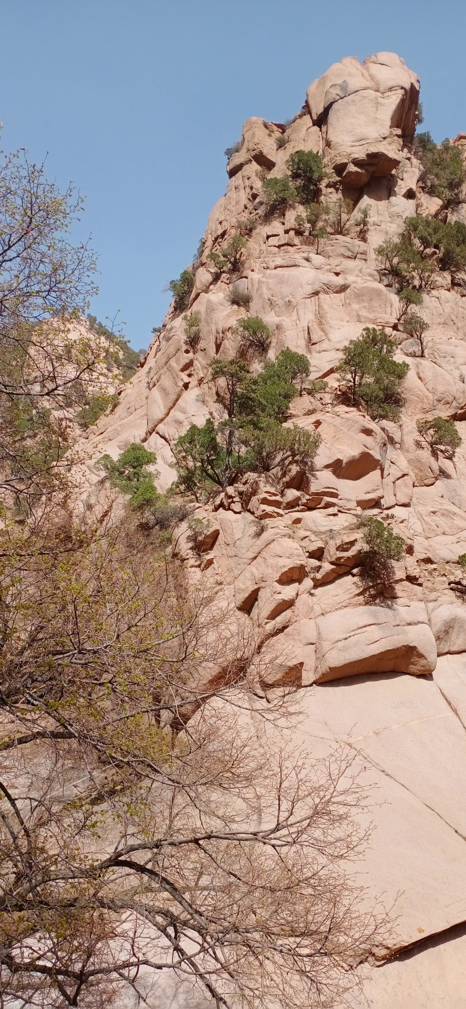 微信图片_20241111164040