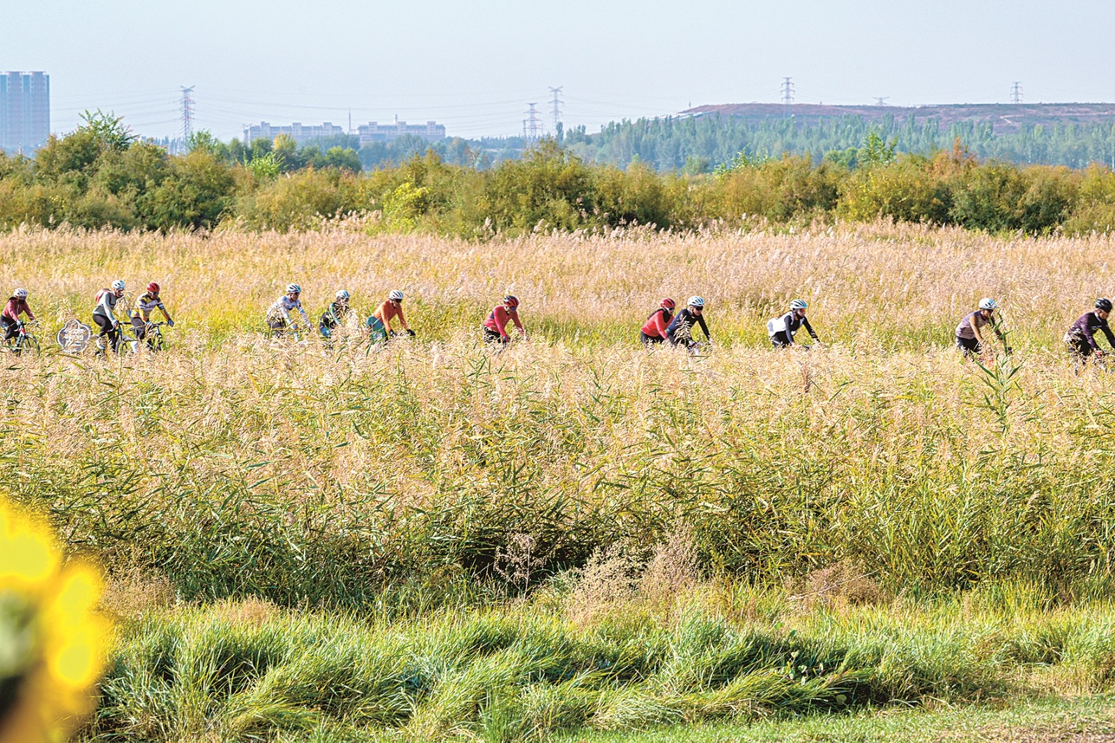 6(6334448)-20260121180053