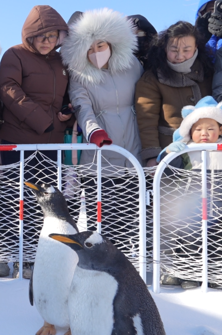 FZ10046347104_A1104204