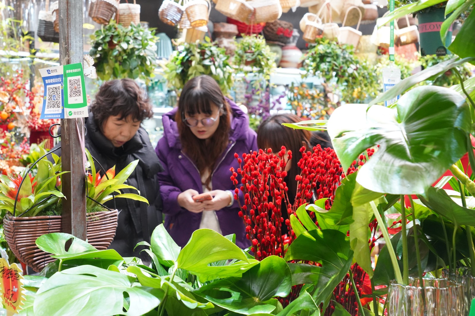 1(6380367)-20260128170007