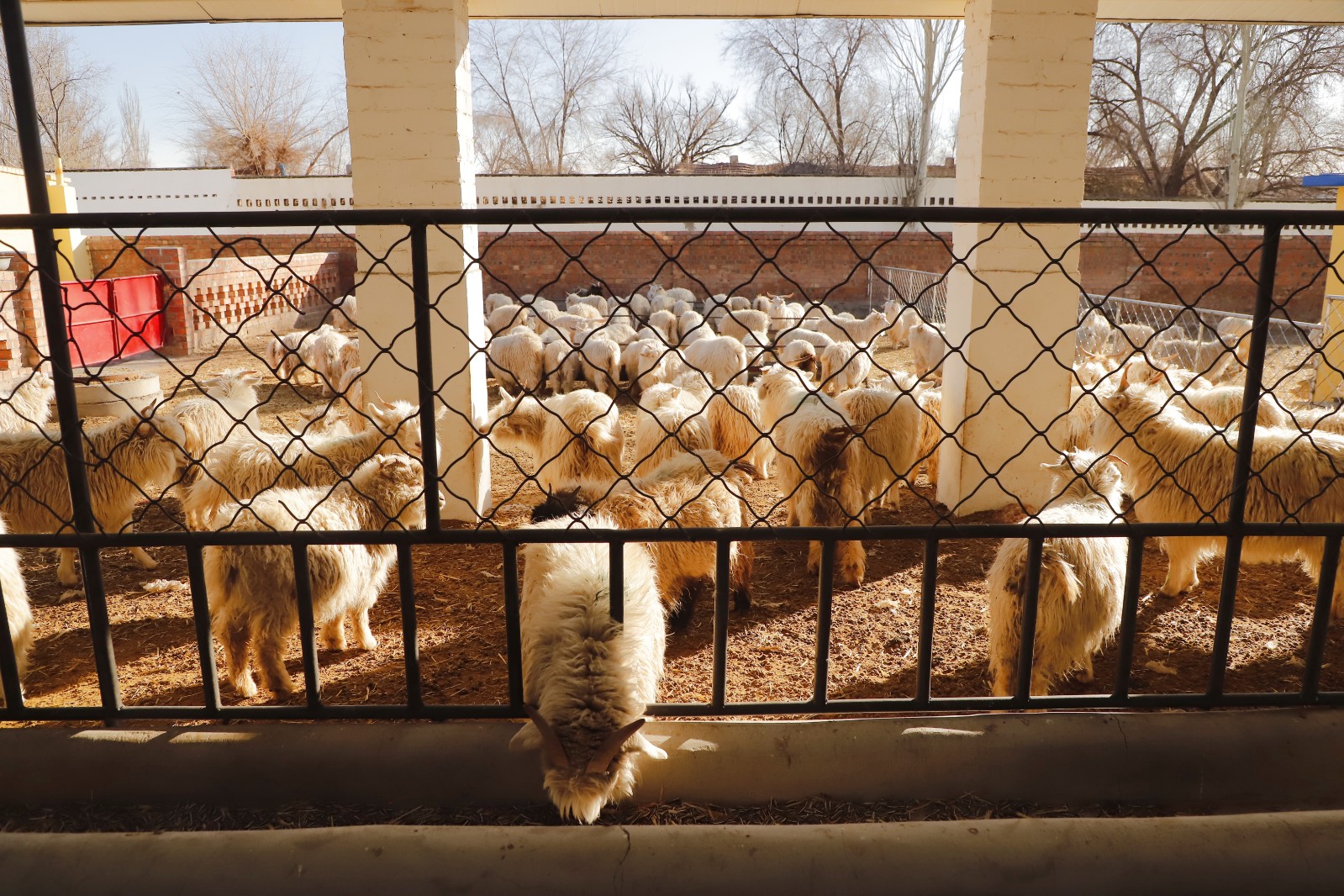 1(6387486)-20260129180947