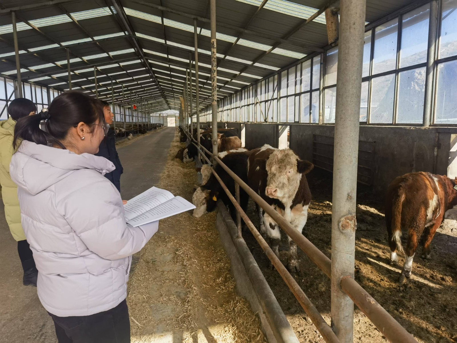 4(6387476)-20260129180943