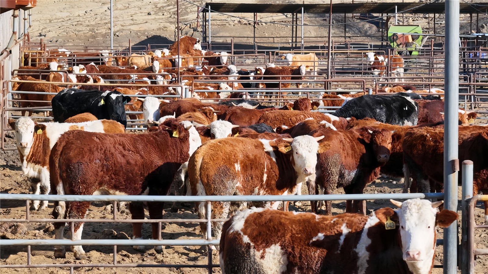 3(6387480)-20260129180951