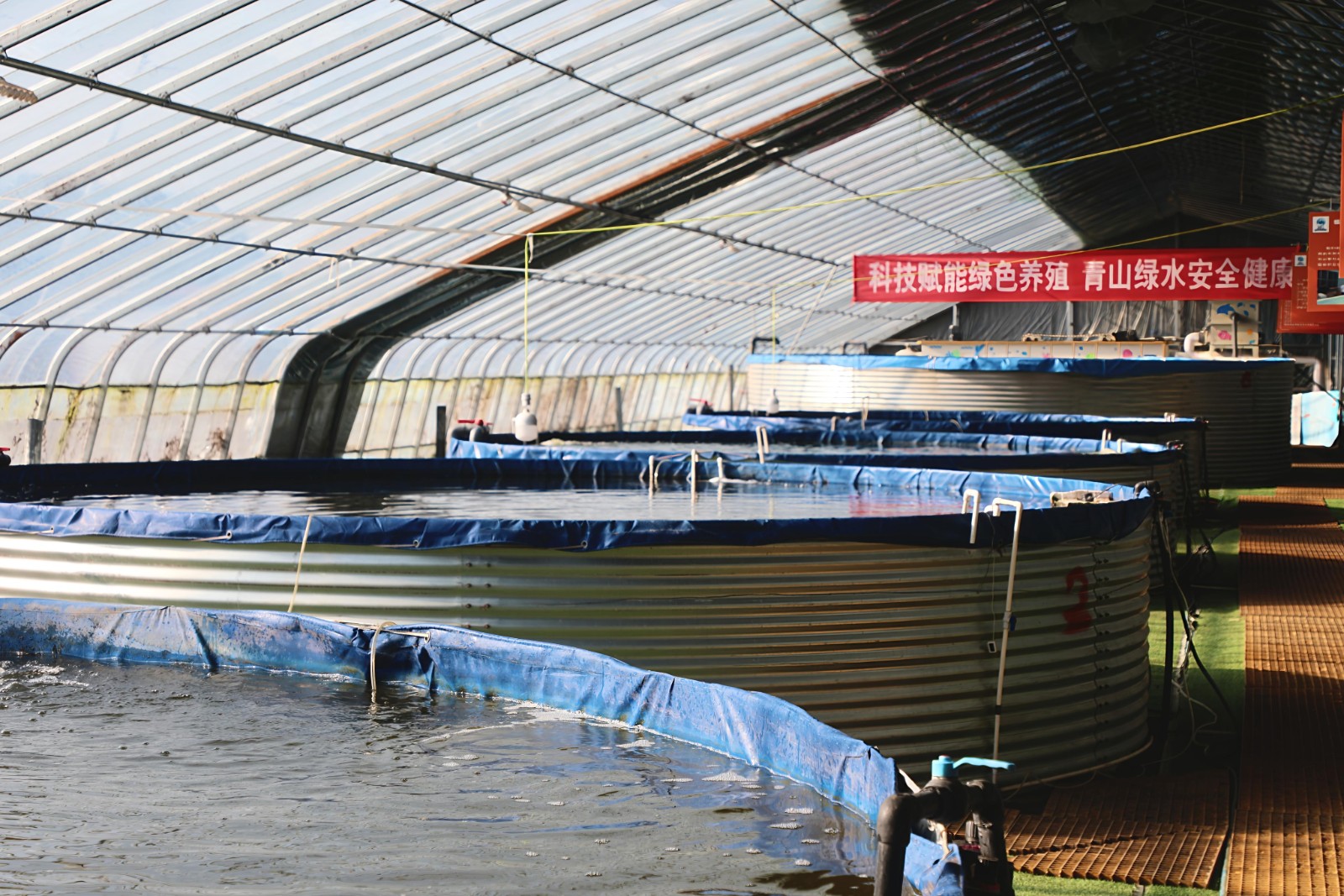 （跃马扬鞭开新局）冬日“不打烊”