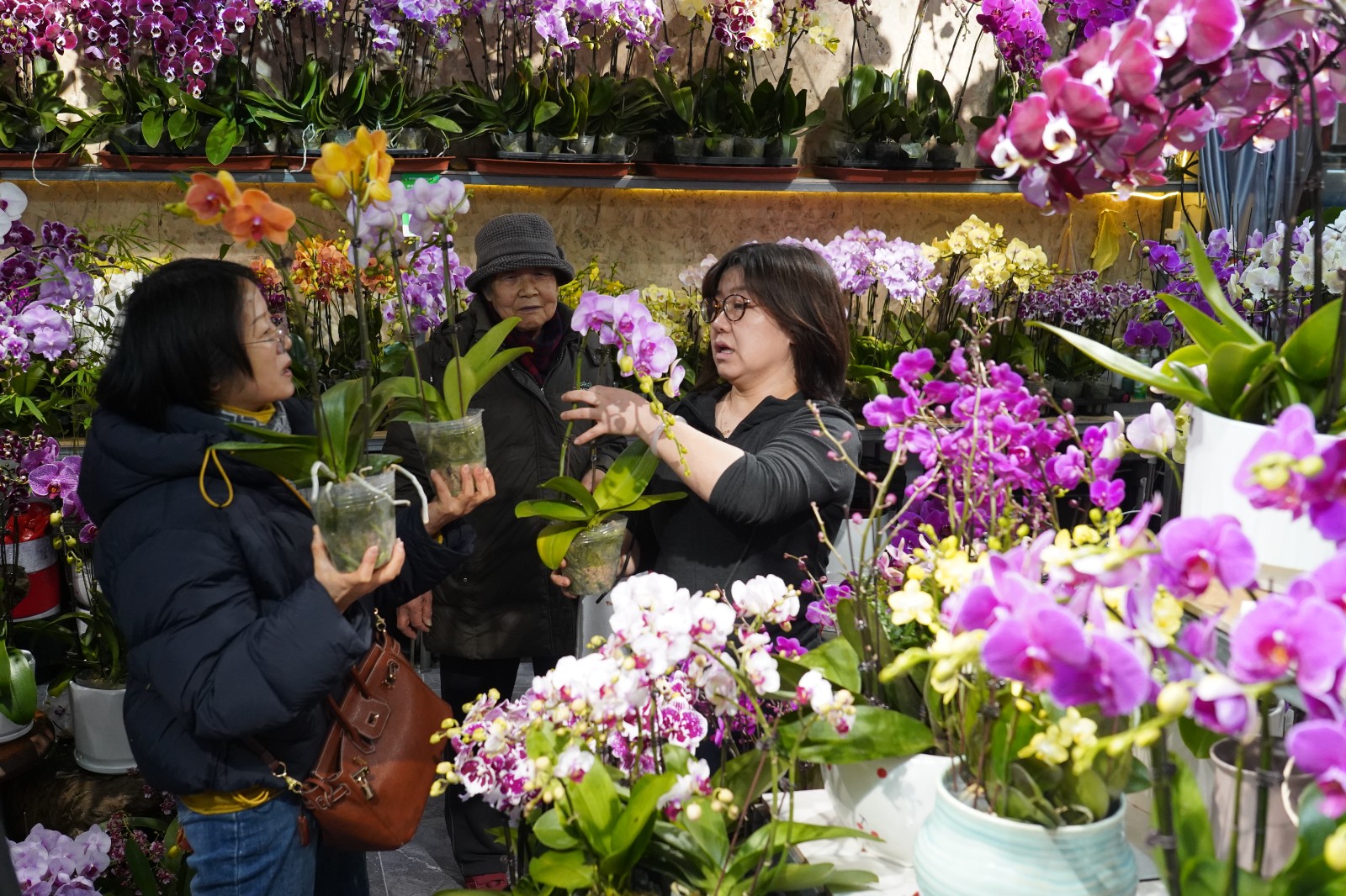 DSC06409(6392560)-20260202090702