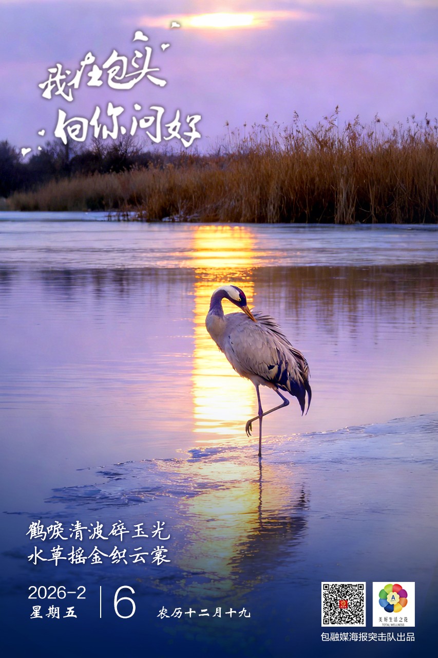 微信图片_20260205173203_122_70