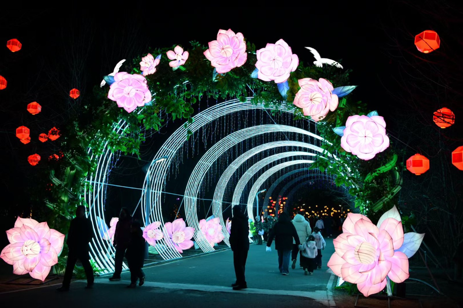 微信图片_20260207090755