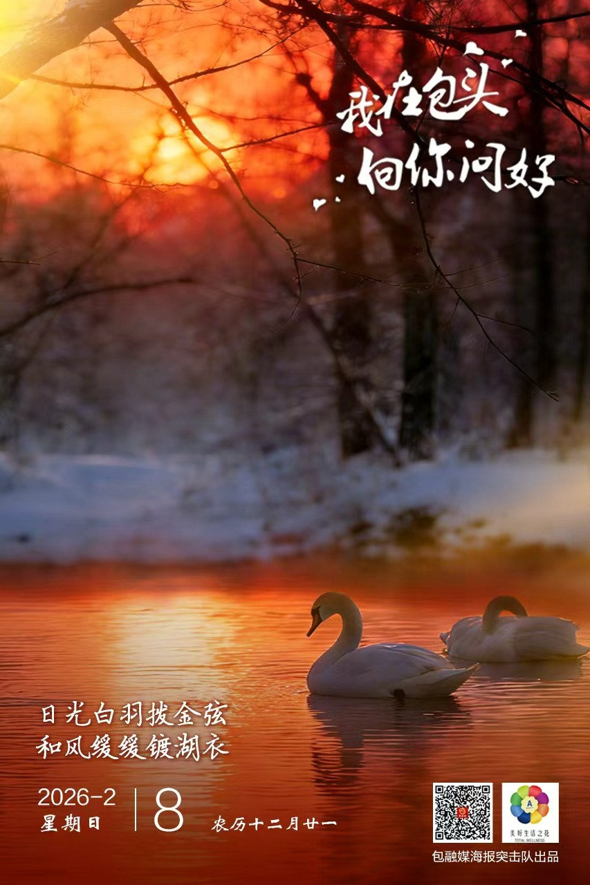 微信图片_20260207173541_1761_193