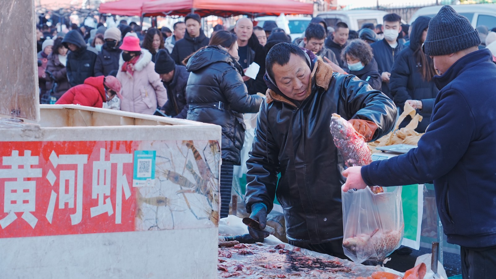 6(6453632)-20260209164052