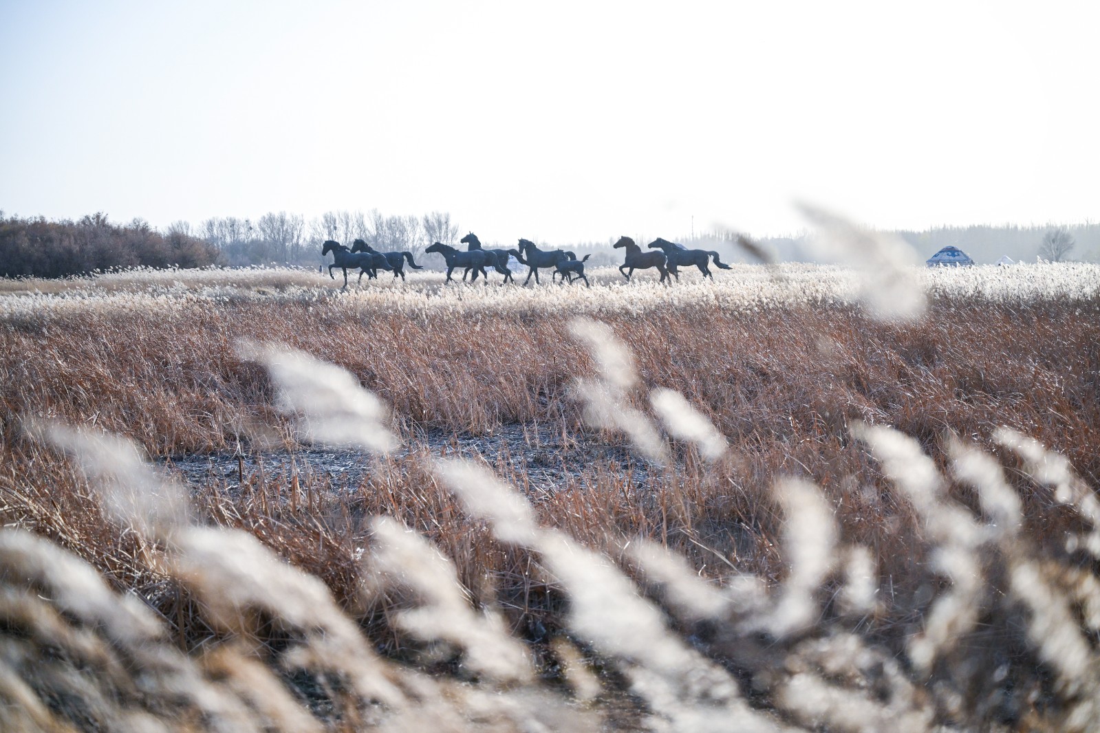 苍茫的赛汗塔拉城中草原,群马奔跑的雕塑矗(6487286)-20260214111333