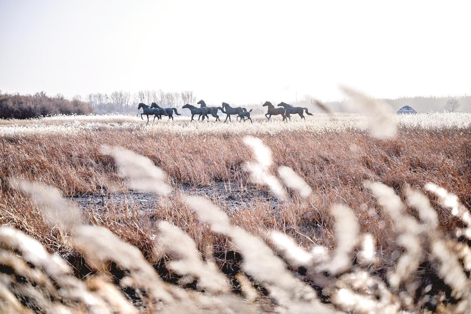 100a7f43-49f4-4512-b8a3-ff53a310b616