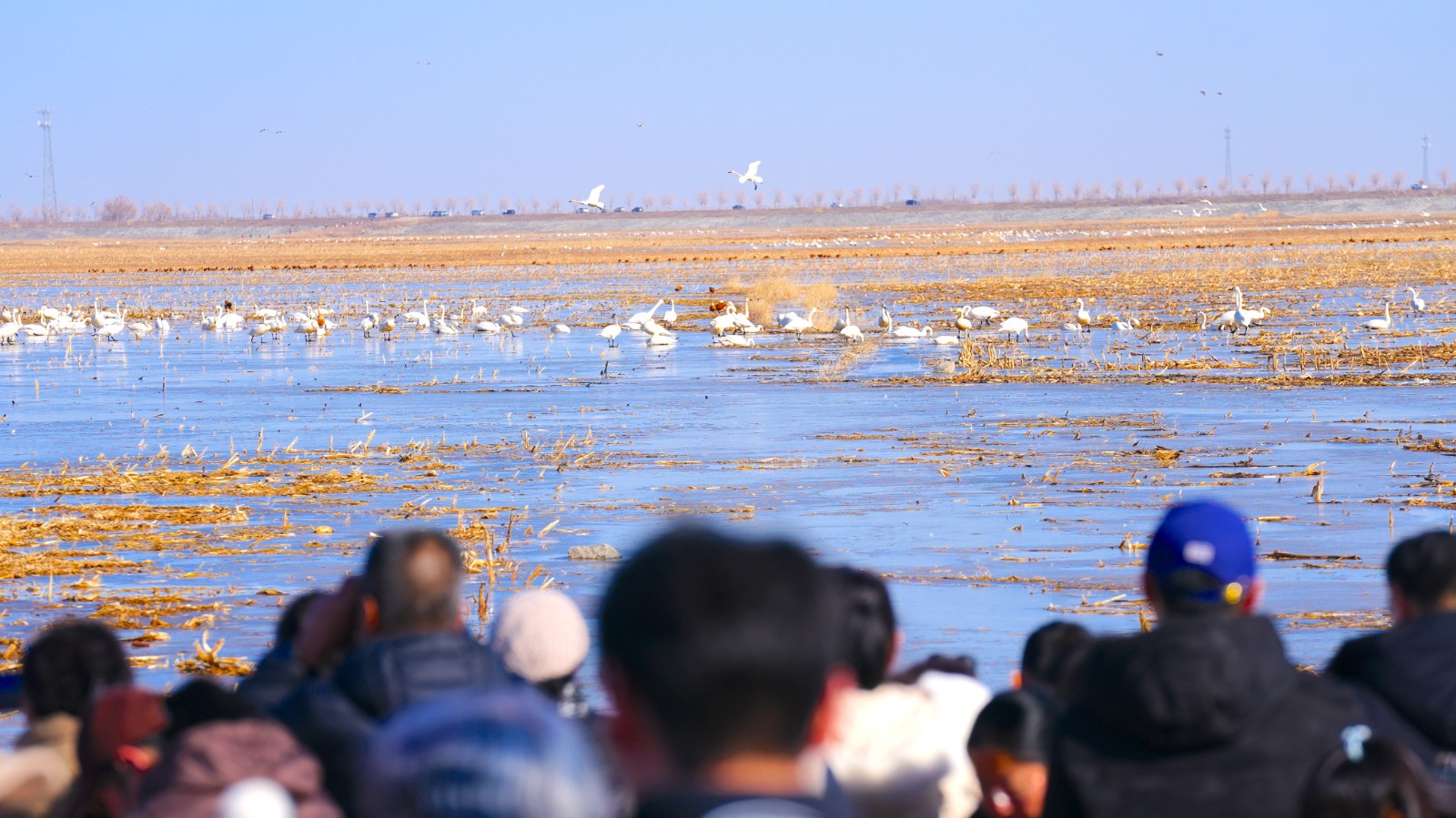 7(6535741)-20260226173941