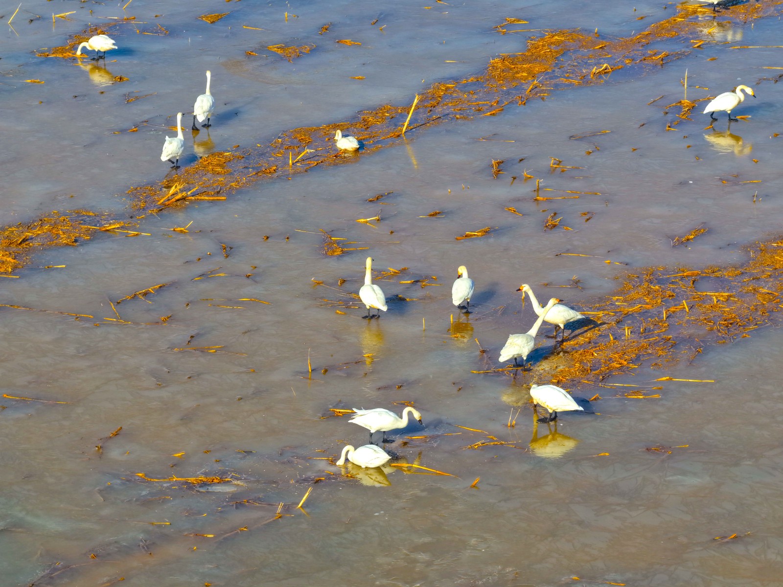 3(6541021)-20260302095612