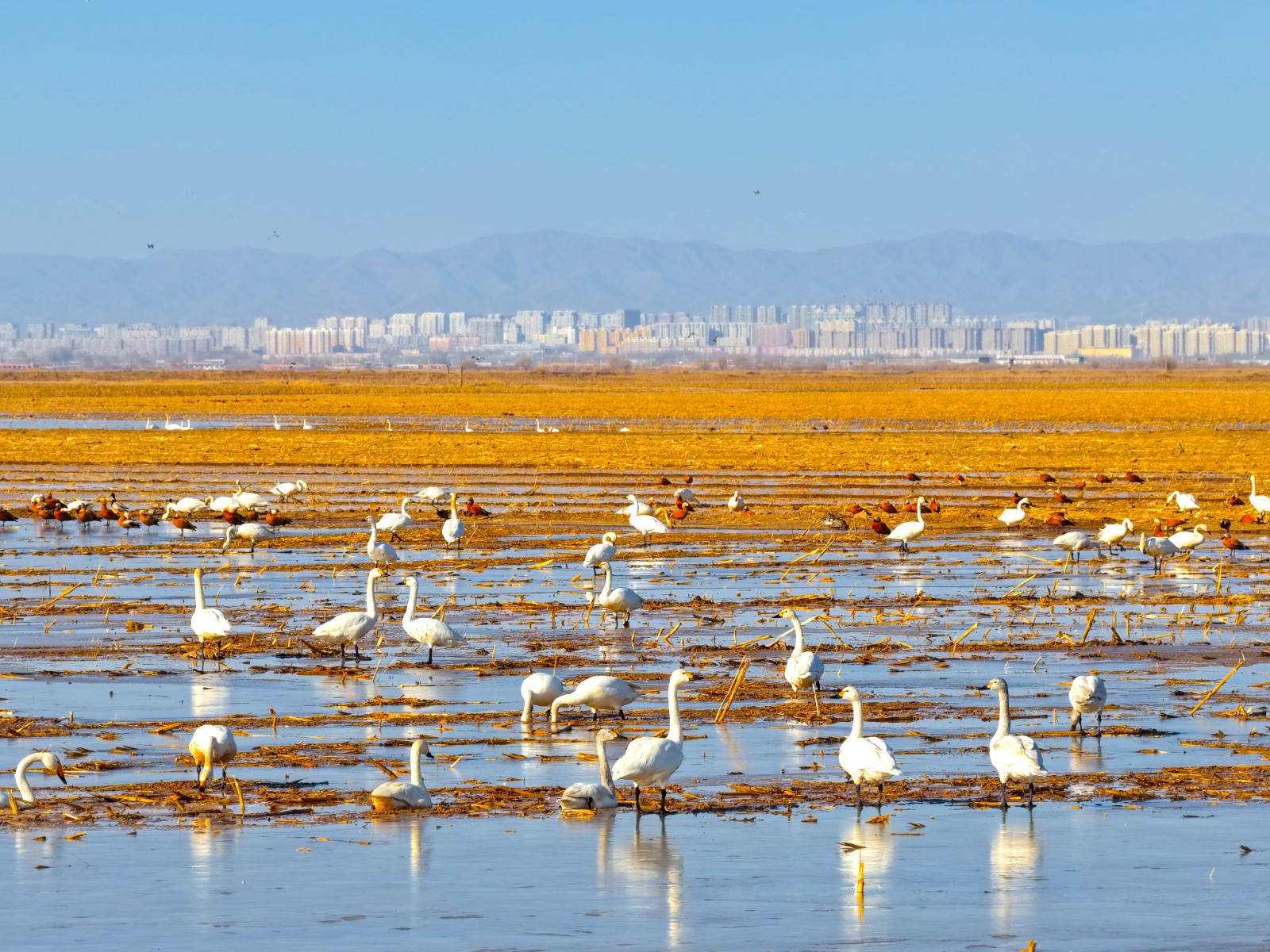 5(6541027)-20260302095629