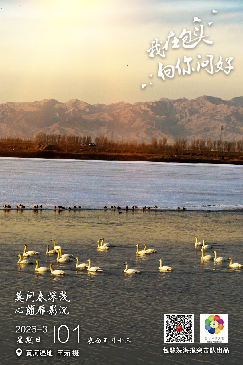 微信图片_20260228181125_1887_193