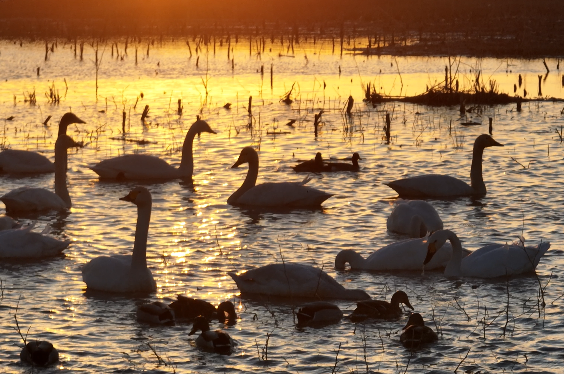 9(6540997)-20260302095709