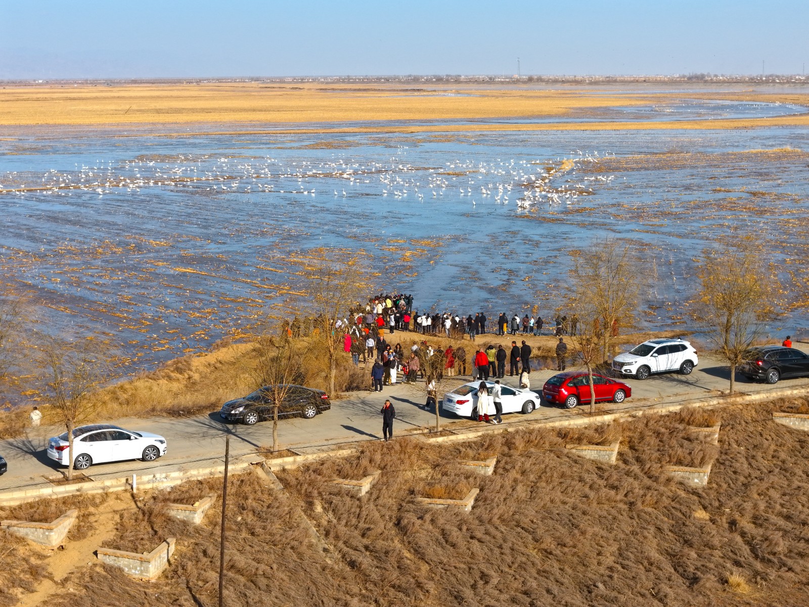 10(6541006)-20260302095639