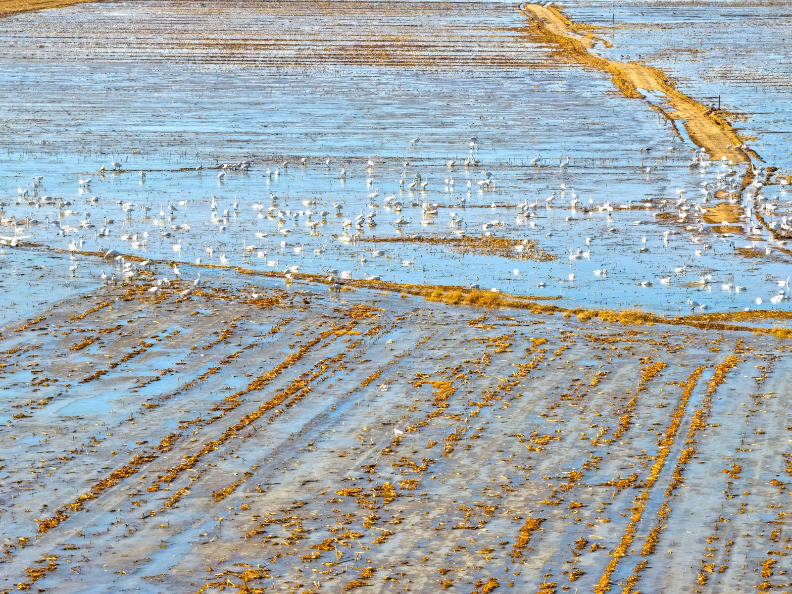 1(6541015)-20260302095620