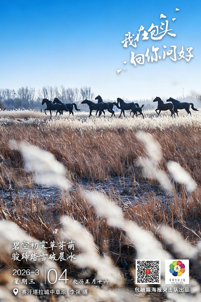 d02c3872a141d558d6888a1cb5e72246