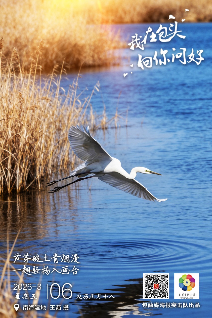 微信图片_20260305180405_23_34