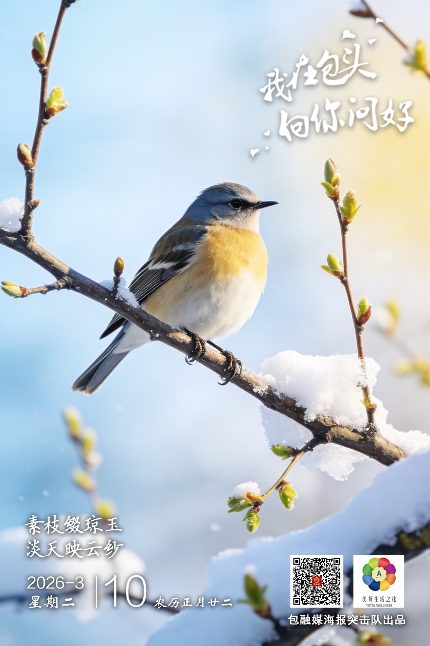 微信图片_20260309223603_209_37