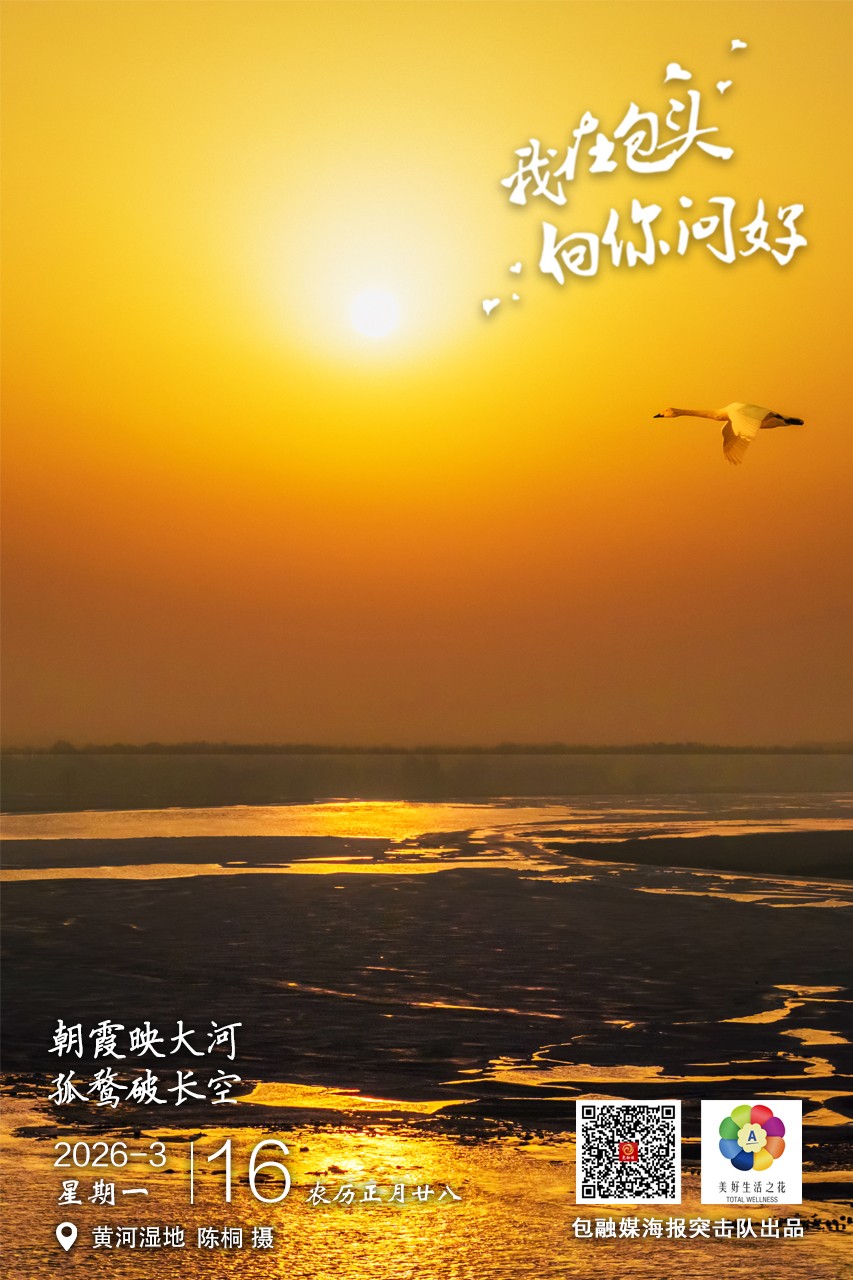 微信图片_20260315112217_378_23