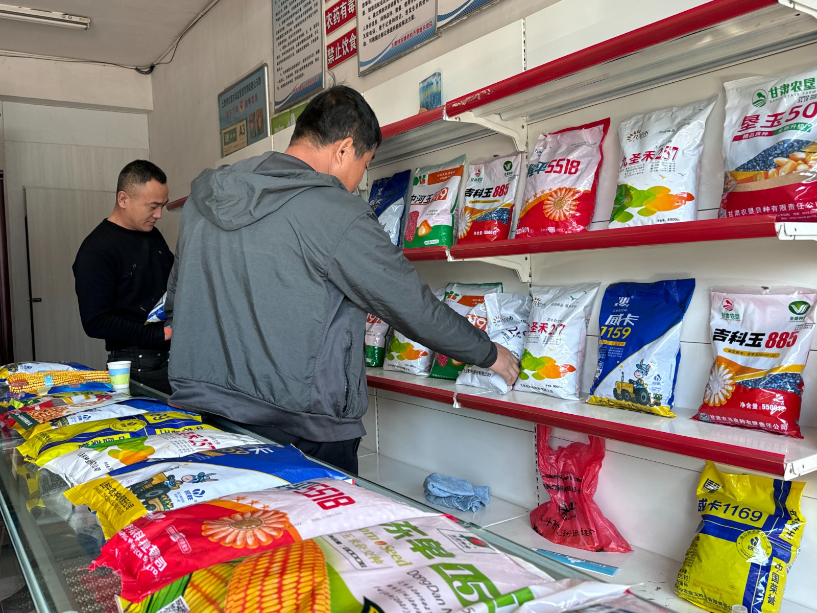 （配图）人勤春早抢农时