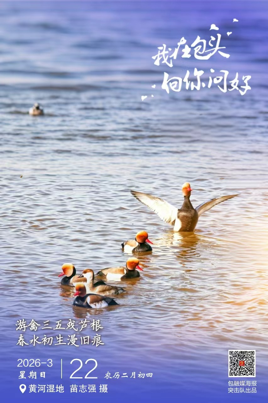 微信图片_20260321225217_2025_193