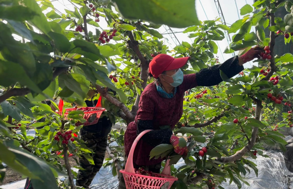 9165a89d-746b-4aa2-b5e5-2a8bdb0c45cf