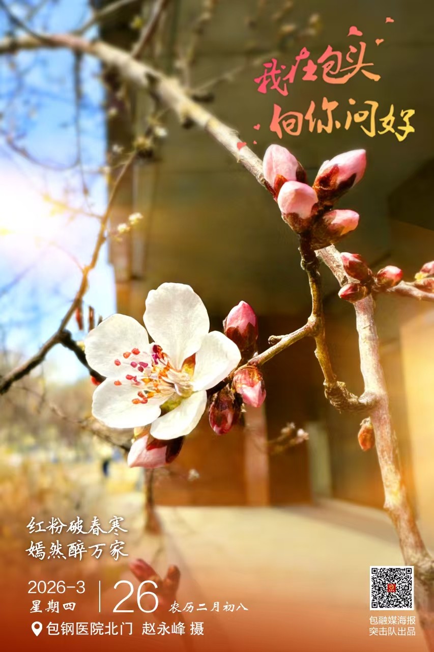 微信图片_20260325201801_68_3