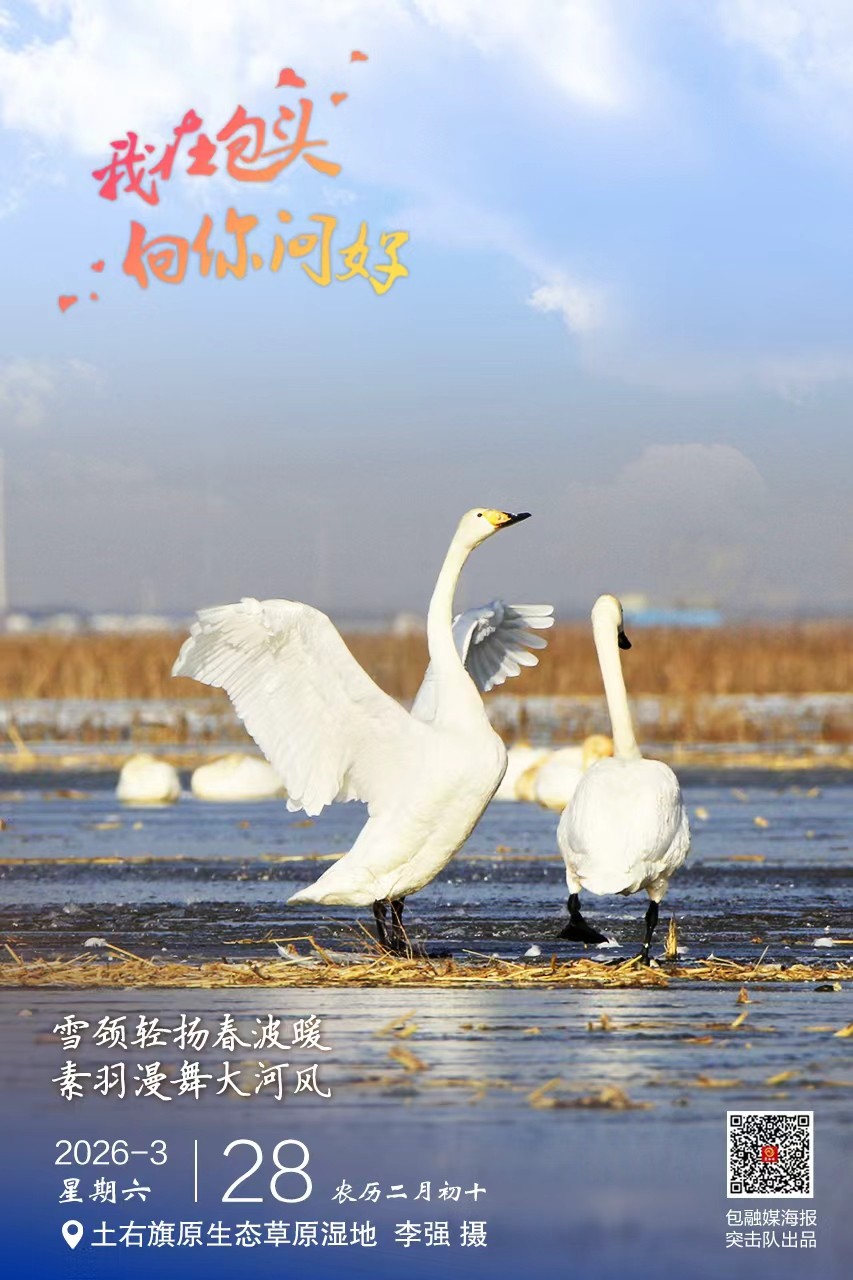 微信图片_20260327213719