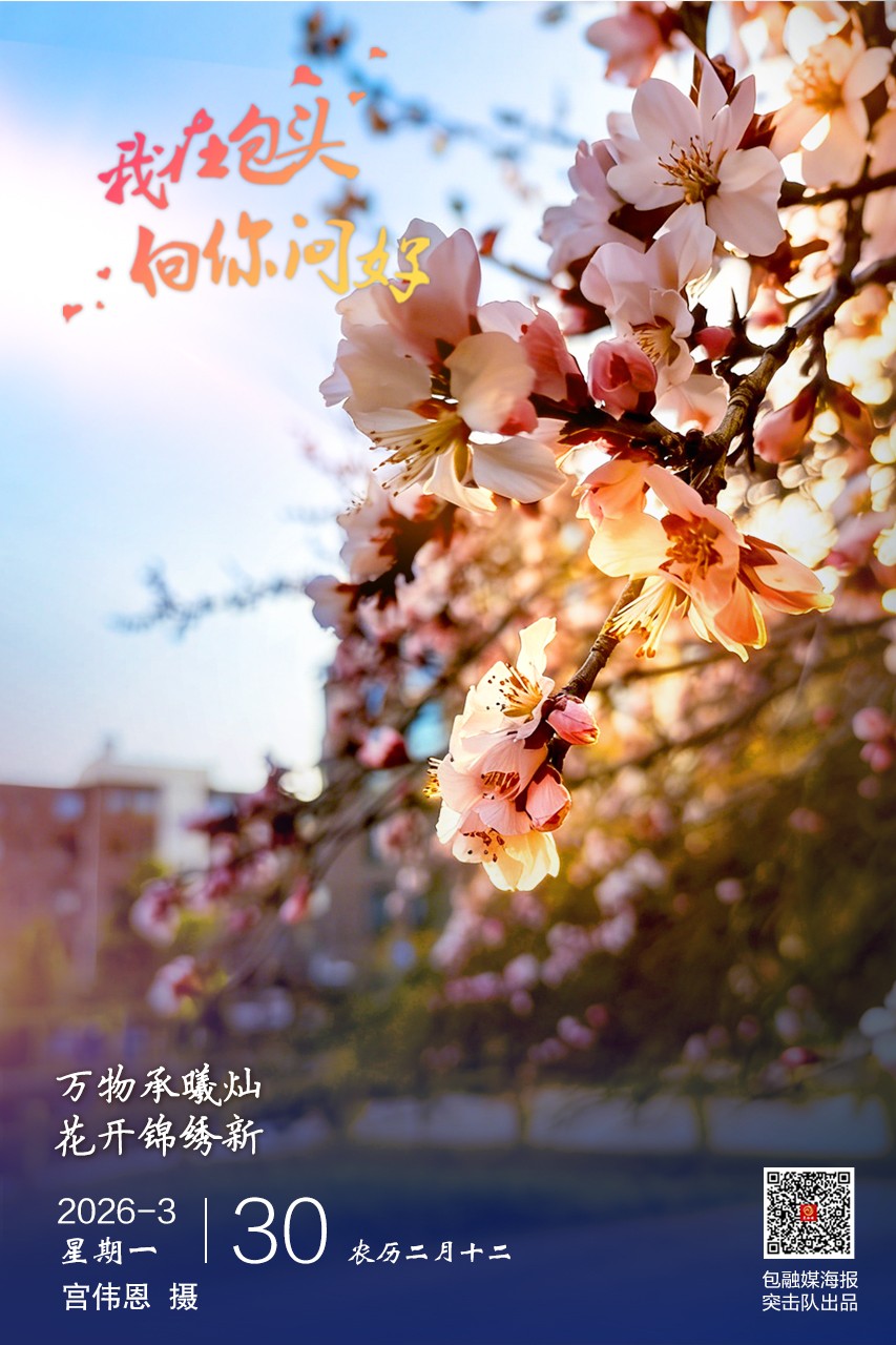 微信图片_20260329162248_440_23