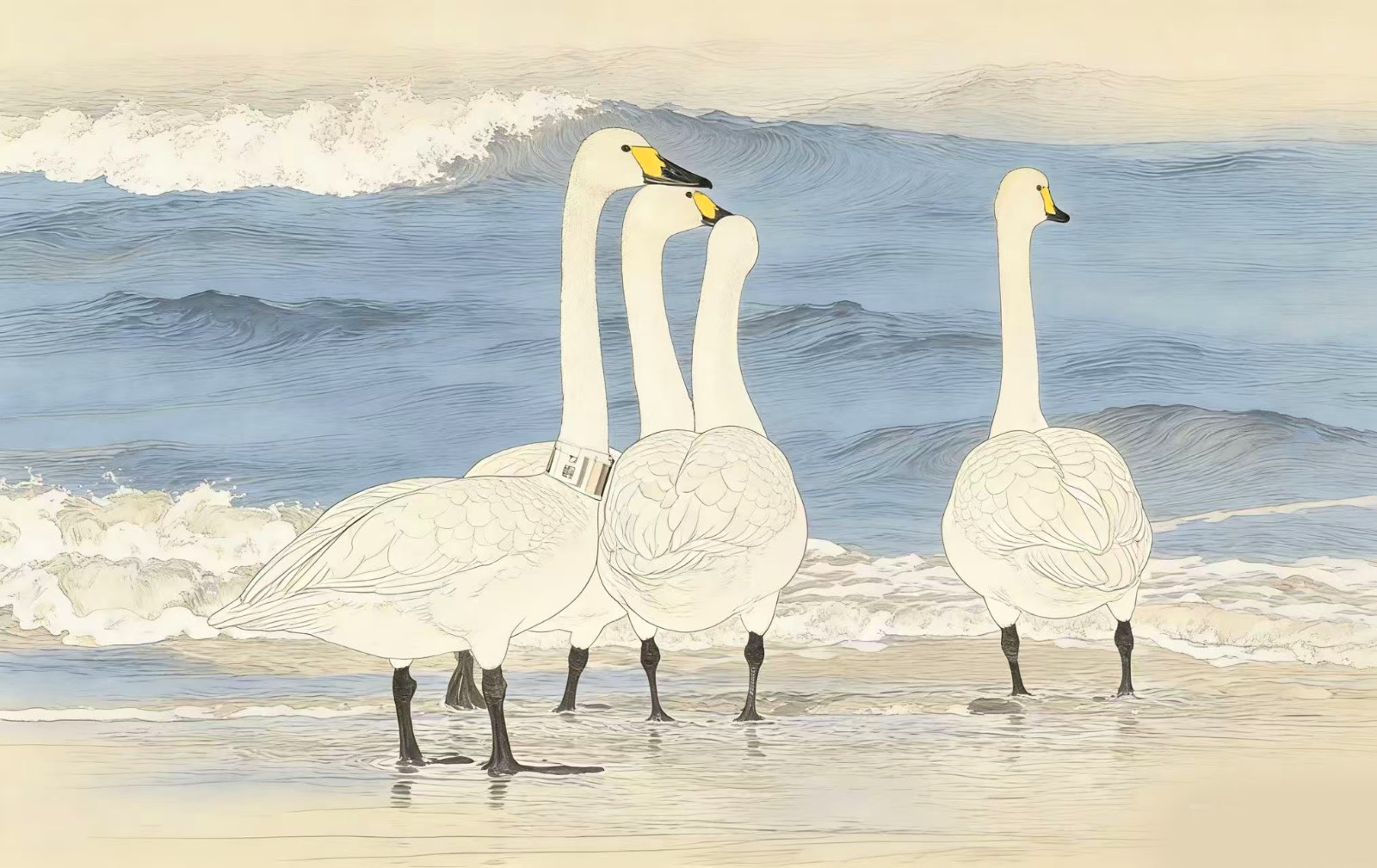 微信图片_20260328102517