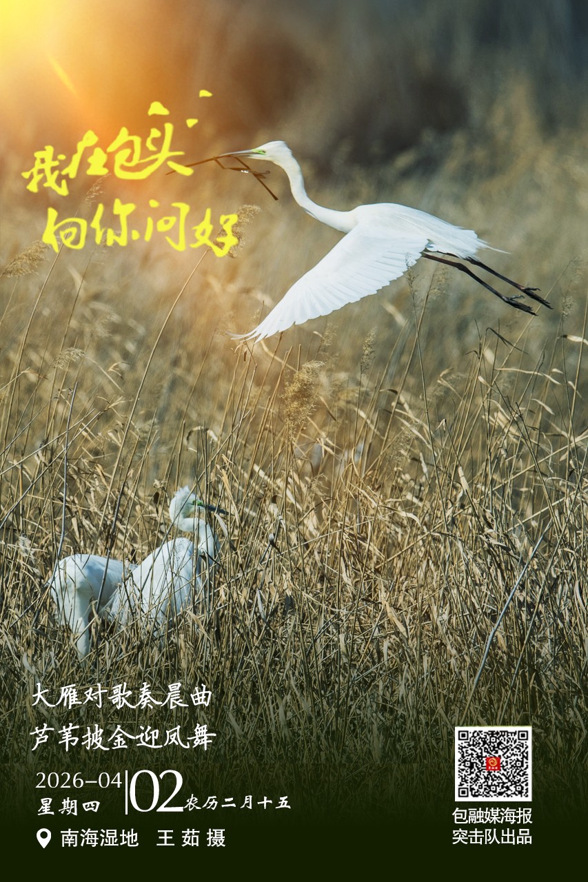 微信图片_20260401220950_687_63